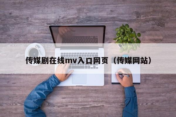 传媒剧在线mv入口网页(传媒网站)